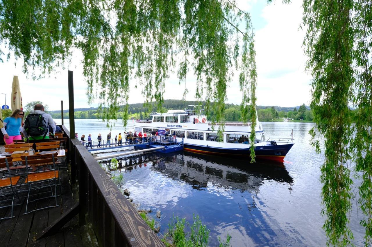 Апартаменты Lipno Wellness - Frymburk C 402-403 Экстерьер фото